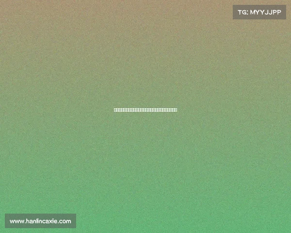 德甲主教练新动向分析：战术革新与球队管理的挑战与机遇